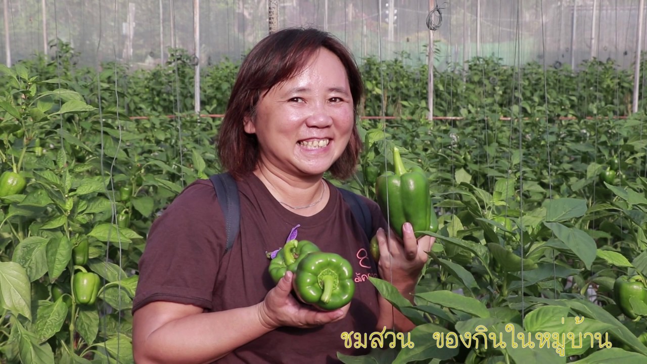 Ban Pong Khrai