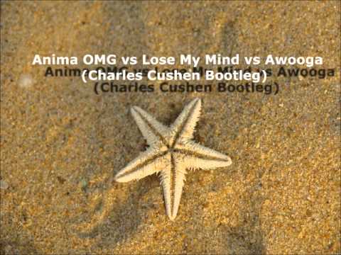 Anima OMG vs Lose My Mind vs Awooga (Charles Cushen Bootleg)