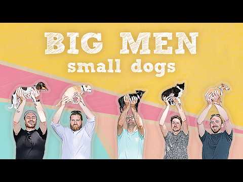 Five large men and the little dogs they love | Big Men, Small Dogs