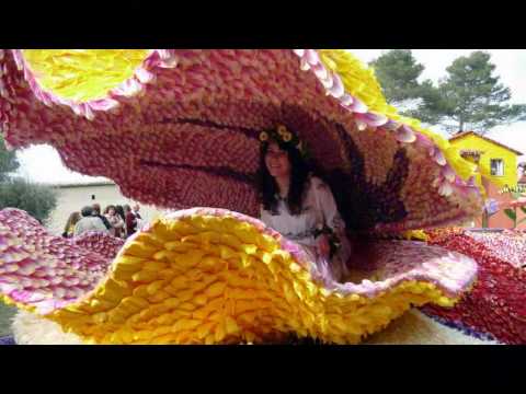 download lagu mp3 mp4 Festa Del Tulipano Castiglione Del Lago, download lagu Festa Del Tulipano Castiglione Del Lago gratis, unduh video klip Festa Del Tulipano Castiglione Del Lago