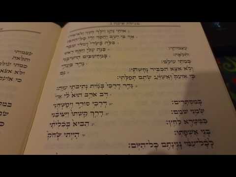 מגילת איכה פרק ג אני הגבר מנגינה מיוחדת (אשכנז)