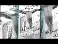 Attack On Titan Chapter 137 Image Fan Art