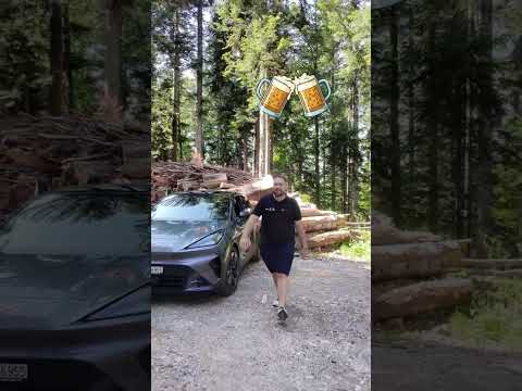 CUPRA Raval 52 kWh Dynamic Launch Edition-video-19