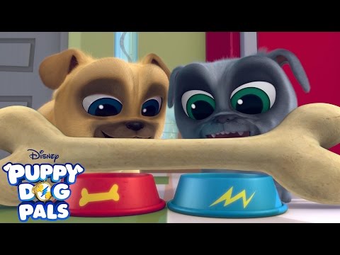 Theme Song | Puppy Dog Pals | Disney Junior