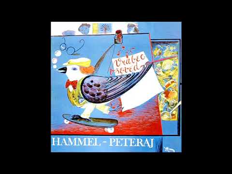 Pavol Hammel - Mechy