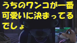 【フォートナイト】飼い主はいつだって自分の子が一番可愛い！！