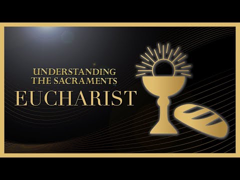 Is Holy Communion Literally the Body of Christ? | Understanding the Sacraments | Fr. Chris Alar, MIC