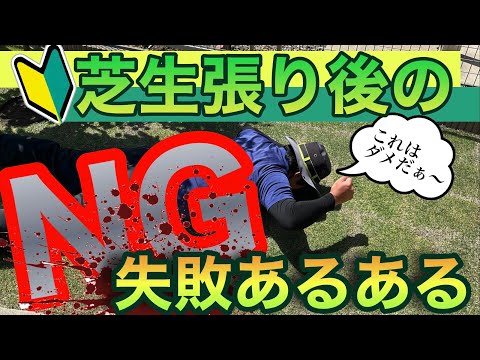 芝生の穴 – その後ろにいるのは誰ですか? トピックス