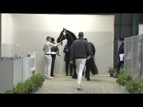 Eerste bezichtiging dag 2 | 30 Nov 2021