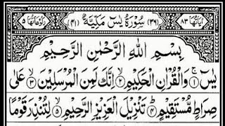 Download lagu Surah Yasin 3 Times | Sheikh Abdur-Rahman As-Sudais | Mishary Rashid Al-Afasy | Sheikh  Ash-Shuraim mp3