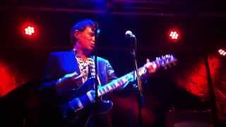 STEVE WYNN (solo) - The Side I&#39;ll Never Show (Vienna 2015.02.26)