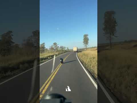 Imprudente sobrepaso provocó un choque múltiple en la Ruta 14 en Corrientes #Ruta14 #Corrientes
