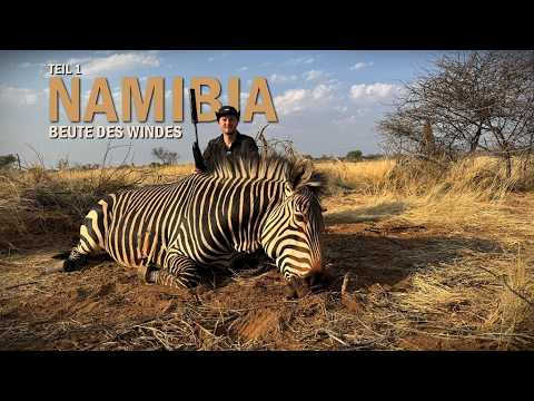 Zebra & Warzenschwein Jagd in Namibia Teil 1 - Jagdkrone