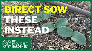 8 Plants You Should Direct Sow Instead of Starting Indoors
