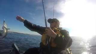 preview picture of video 'Kayak Fishing Hueneme Beach For Calico Bass'