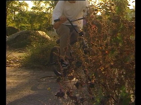 valentin moder vx things