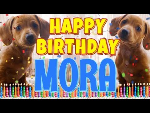 Happy Birthday Mora! ( Funny Talking Dogs ) What Is Free On My Birthday