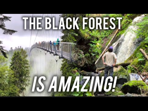 Things to do in the Black Forest, Germany