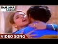 Premalekha Telugu Movie Pattu Pattu Paruvaala Pattu Video Song Ajith Heera