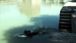 Osso di Seppia -Mannarino-