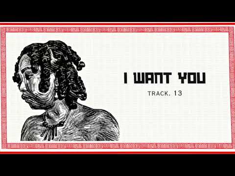 Niu Raza - I want you (Official Audio)