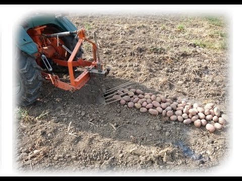 , title : 'Recoltat/Scos Cartofi|Scava Patate|Harvesting Potatoes|Собранный картофель with Pasquali 995'