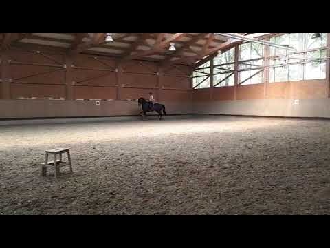 Gremlin von Worrenberg