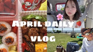 【vlog】春を満喫する4月の日常vlog🎀🍓🌸