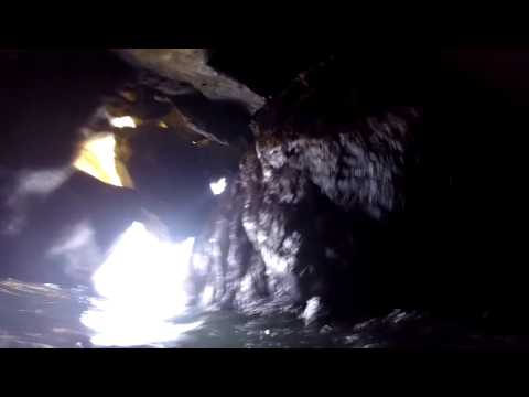 Dublin Rush Pigeons Cave