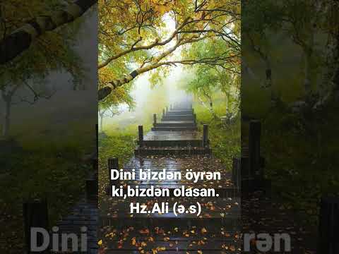 İMAM ƏLİ (S Ə) GÖZƏL BİR HƏDİSİ 2023