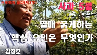 [사과재배] 무엇이 열매를 굵게 하는가  *전정의 달인 김창호 기술단장
