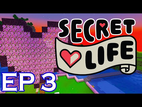Secret Life - It Takes Heart! - Ep 3