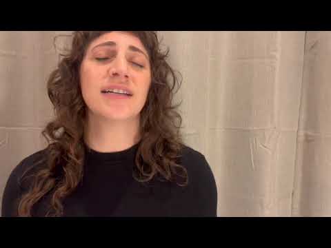 Promotional video thumbnail 2 for Sara Finkle