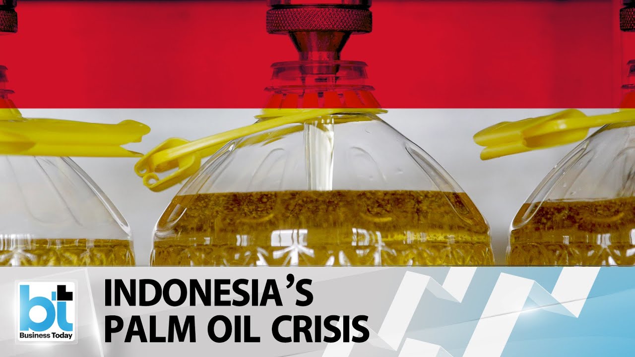 Explained: Palm oil crisis in Indonesia and its impact on India