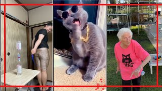 VDEOS ENGRAADOS OS MELHORES DOS APPS - DIVERTIDANET #005