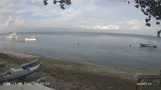 Junedive Front Beach, Moalboal, Cebu 모알보알 바다상황 실시간영상 live webcam