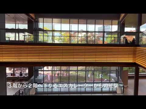 秋景色　紅葉とあきた芸術劇場ミルハス
