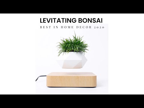 Levitating Air Bonsai Pot
