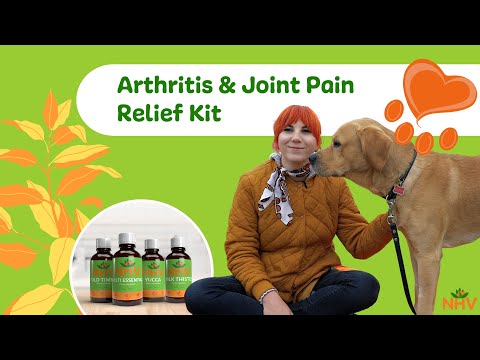 NHV Arthritis & Joint Pain Relief And Rejuvenation Kit For Cats & Dogs