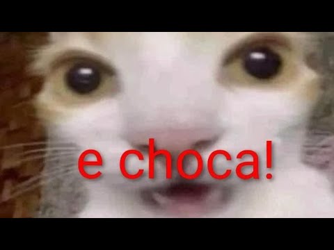 jovens do interior de chupinguaia-rondônia, decidem criar uma equipe, acompanhe o caso