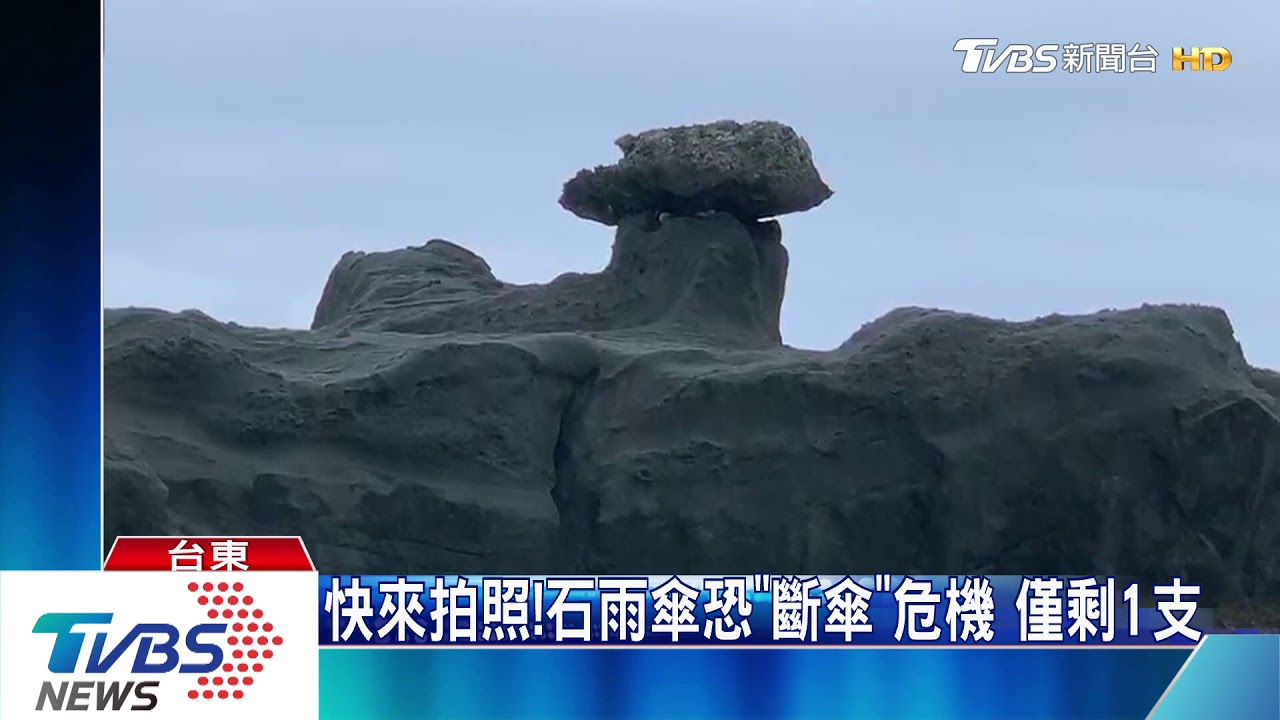 快來拍照!石雨傘恐「斷傘」危機 僅剩1支