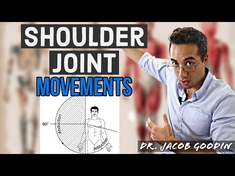 Shoulder Joint Anatomy: Joint Movements