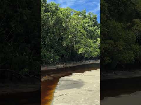 #rio Boracéia desaguando na #praia de Boa Bora em #sãosebastião #litoral #litoralnorte de #saopaulo