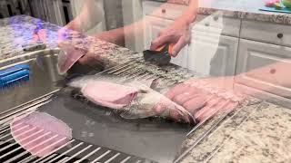 KastKing Speed Demon Pro Lithium ion Electric Fillet Knife Review