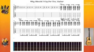 Why Should I Cry For You - Sting