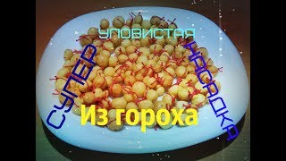 Ссылка