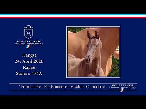 Holsteiner Elite-Fohlenauktion | Nr. 32 - For Romance - Vivaldi
