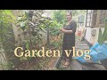 Garden Setting Smokefamily