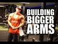 FULL GUIDE TO BUILDING BIG ARMS