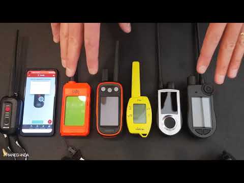 INTRODUZIONE 💚🏆*SATELLITARI PER CANI*🏆💚